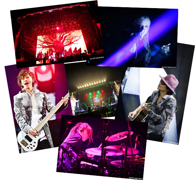 PHOTO GALLERY
