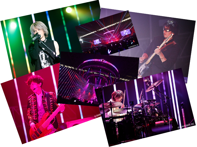 PHOTO GALLERY